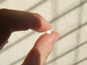 pinch1.JPG
