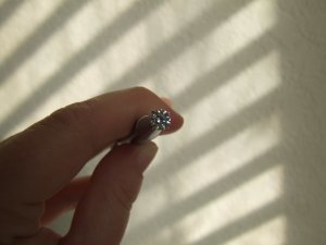 tweezer1.JPG