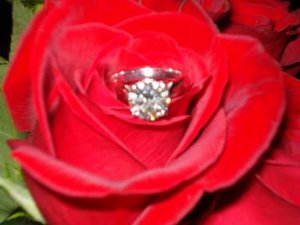 engagement 102.JPG