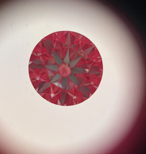 604FFF0E-1B9C-4D51-A70E-D91D870DDD07.jpeg