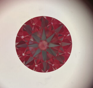 31893283-3D31-4E1A-8B16-EFAEE62D11F8.jpeg