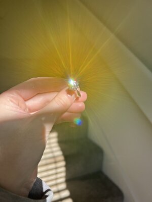 IMG_4390.JPG