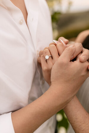 Ring Picture 2.jpg