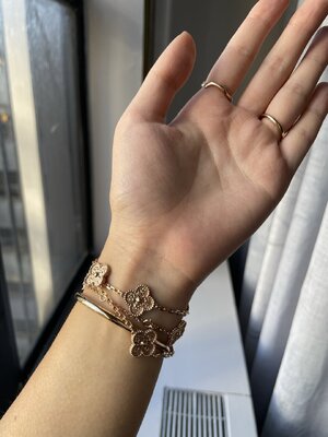 IMG_5117.JPEG