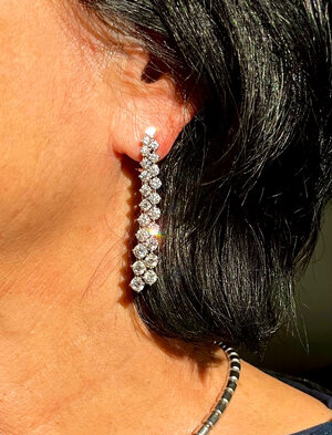 PS earrings I.jpg