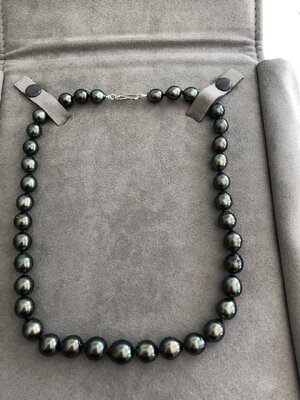 pearls boxed.jpg pearls boxed.jpg