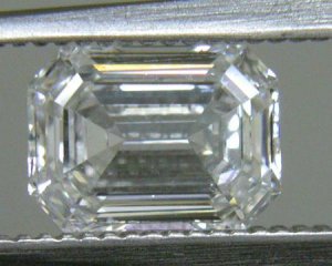 DI40XT_EGLLAW8002401.JPG