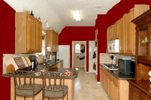 hr1943061-8_redPaint.JPG