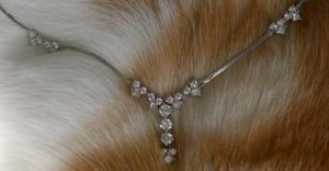 wlfrsnecklace1.jpg