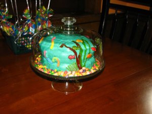 dscake1.jpg