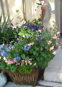 maraspringgarden2007i.jpg
