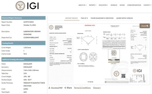 Fullscreen capture 11292021 41215 PM.jpg