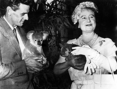 2560px-Her_Majesty_Queen_Elizabeth_The_Queen_Mother_cuddling_a_koala,_Brisbane,_1958_(84869384...jpg
