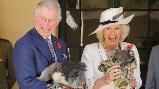 charles-camilla-koala-16_9.jpg