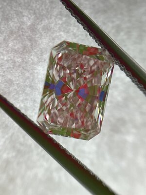 IMG_7281.jpeg