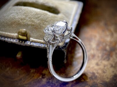 IMG-0484 (1).jpg IMG-0484 (1).jpg