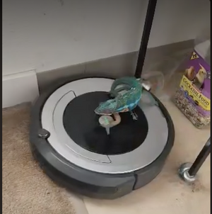 skittlezonroomba.png