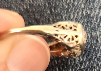 20230412_144723.jpg