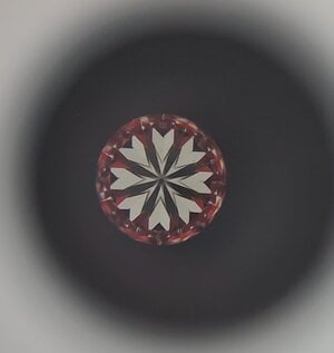 20230327_105026.jpg