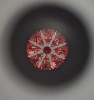 20230327_105758.jpg