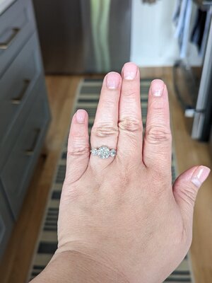 OEC Ring 3.jpg
