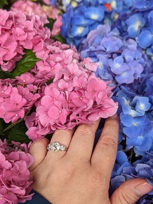 Flowers OEC.jpg