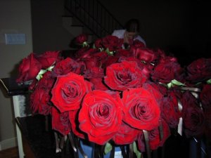 rosebucket2.jpg