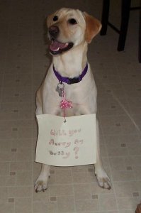 mya will you marry me2.JPG