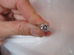 IMG_8639.jpg