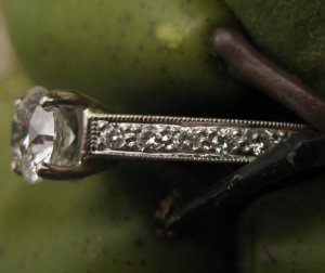 ering813074.JPG