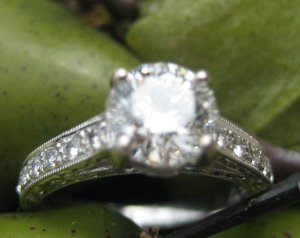 ering813076.JPG