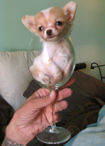 Jigger_cup_copy.jpg