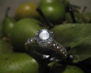 ering813079.JPG