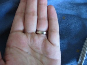 IMG_1781 (Medium).JPG