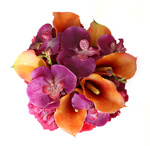 orangeandfuschia.jpg