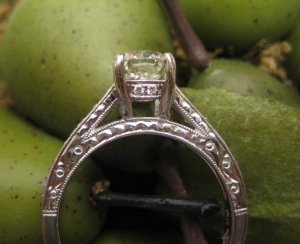 ering813075.JPG