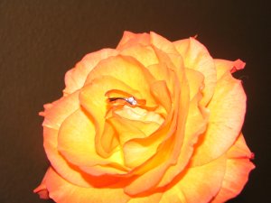 IMG_0136.JPG