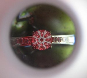 Ering813073.JPG