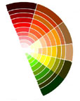 warmcolors.jpg