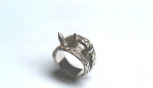 Spike-Ring.jpg