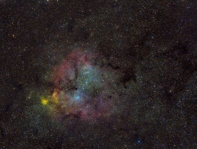 Elephants Trunk Nebula.jpg