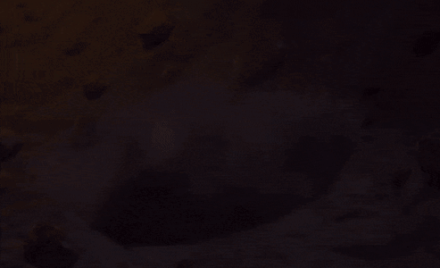 BrightLastKid-max-1mb.gif