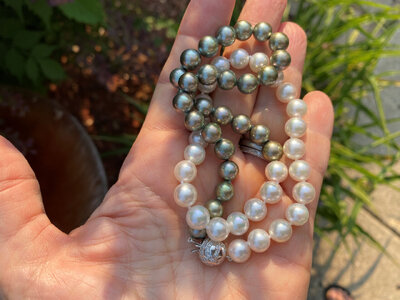 AKOYA WB Necklace5.jpg