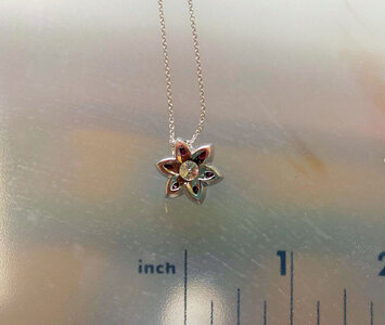 Ruby Pendant14.jpg