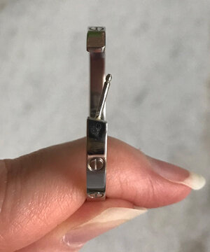 Cartier WG Hoops.jpg
