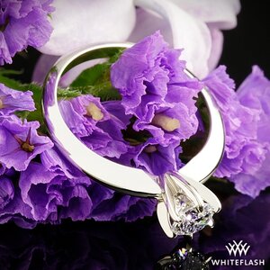 Classic-6-Prong-Solitaire-Engagement-Ring-in-Platinum-by-Whiteflash_60938_64471_g-210475.jpg