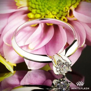 Classic-6-Prong-Solitaire-Engagement-Ring-in-14k-White-Gold-by-Whiteflash_59051_59027_g-184230.jpg