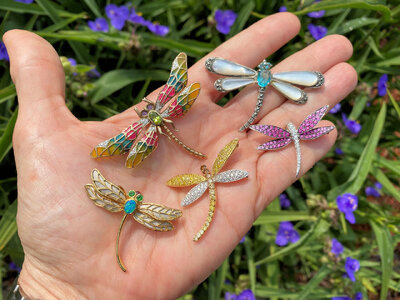 Dragonflies.jpg