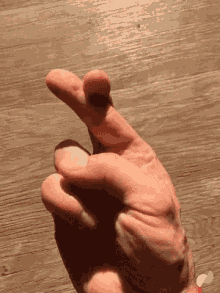 pretty-please.gif