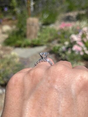 IMG_3383.jpeg